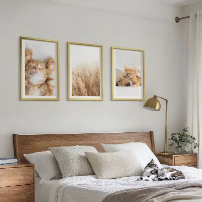 Set de 3 cuadros decorativos para salón con diseño boho de gatos y perros