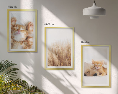 Set de 3 cuadros para salón Animales lindos gatos perros boho