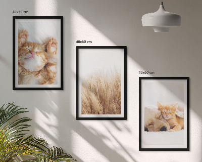 Set de 3 cuadros para salón Animales lindos gatos perros boho