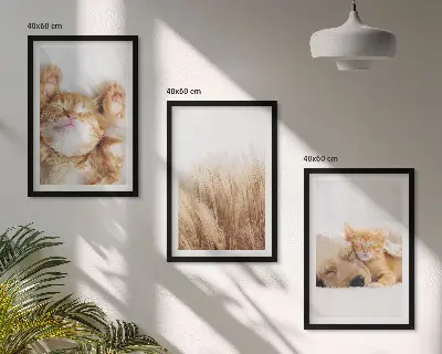Set de 3 cuadros decorativos para salón con diseño boho de gatos y perros