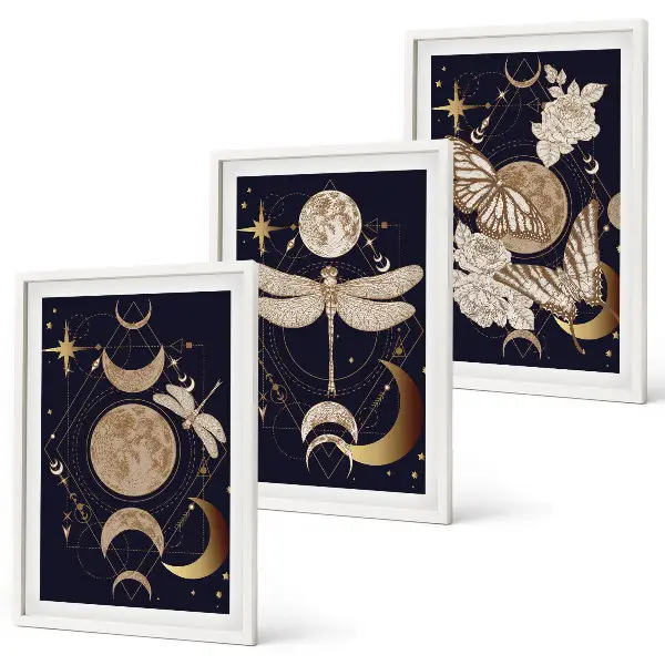 Juego de 3 cuadros motivos de la naturaleza con flores de luna
