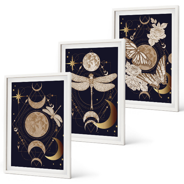 Juego de 3 cuadros Motivos de la naturaleza: flores de luna