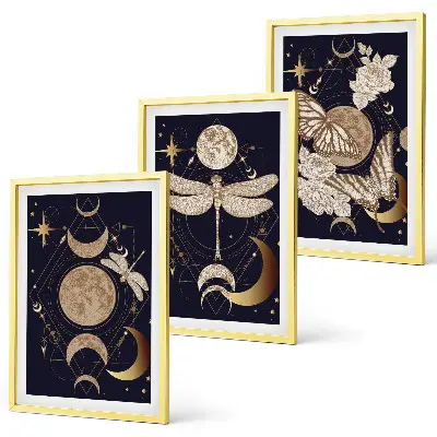 Juego de 3 cuadros motivos de la naturaleza con flores de luna