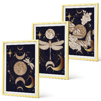 Juego de 3 cuadros Motivos de la naturaleza: flores de luna