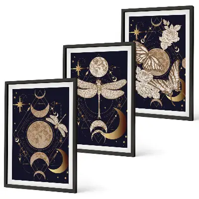 Juego de 3 cuadros motivos de la naturaleza con flores de luna