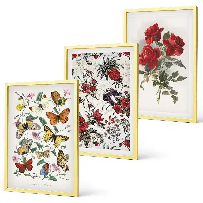 Set de 3 cuadros para salón con diseño de mariposas, flores y rosas rojas