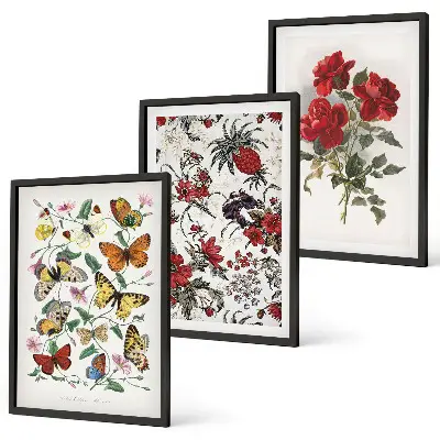 Set de 3 cuadros para salón con diseño de mariposas, flores y rosas rojas