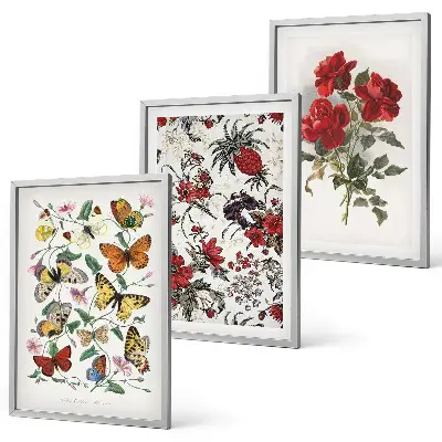 Set de 3 cuadros para salón con diseño de mariposas, flores y rosas rojas