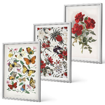 Set de 3 cuadros para salón Mariposas, flores, rosas rojas