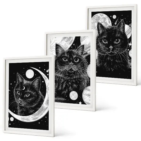 Juego de 3 cuadros de gatos negros en el espacio lunar decoración de pared con diseño de gatos negros en el espacio lunar