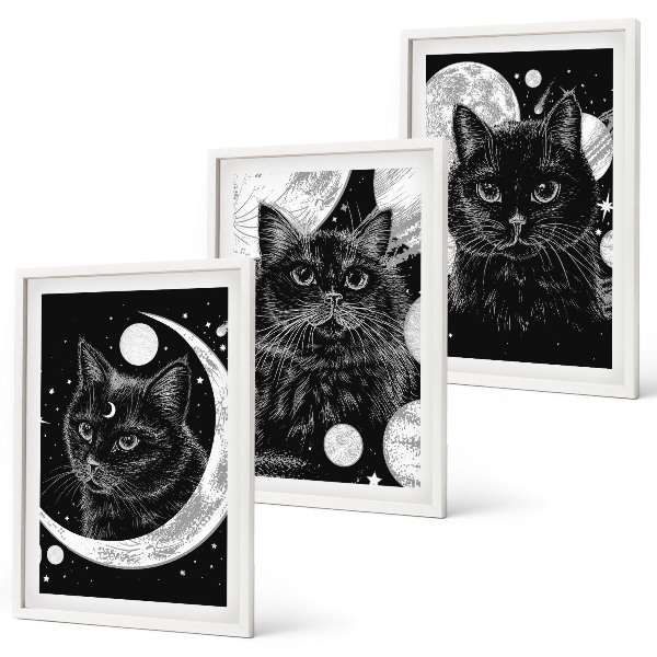 Juego de 3 cuadros Gatos negros espacio lunar