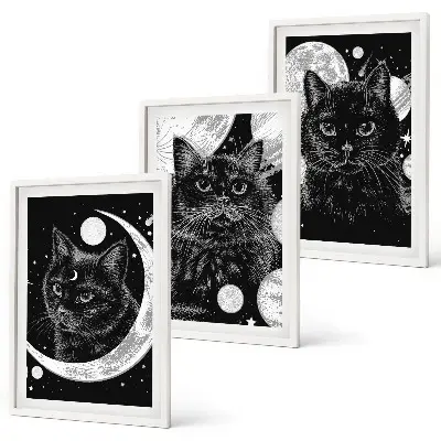 Juego de 3 cuadros de gatos negros en el espacio lunar decoración de pared con diseño de gatos negros en el espacio lunar