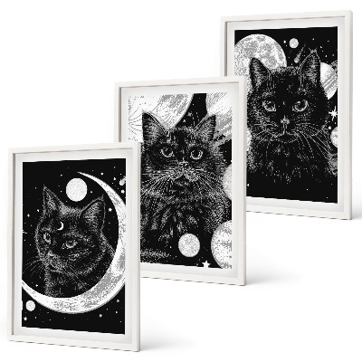 Juego de 3 cuadros Gatos negros espacio lunar