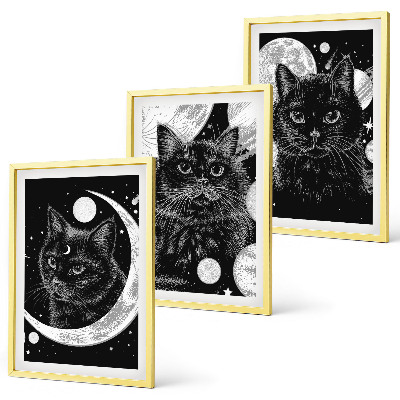 Juego de 3 cuadros Gatos negros espacio lunar