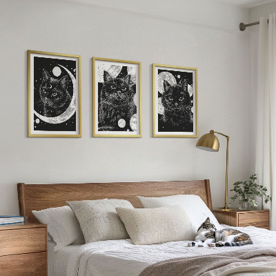 Juego de 3 cuadros Gatos negros espacio lunar