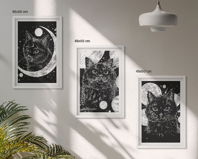 Juego de 3 cuadros Gatos negros espacio lunar