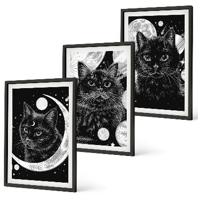 Juego de 3 cuadros Gatos negros espacio lunar