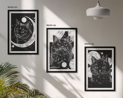 Juego de 3 cuadros Gatos negros espacio lunar