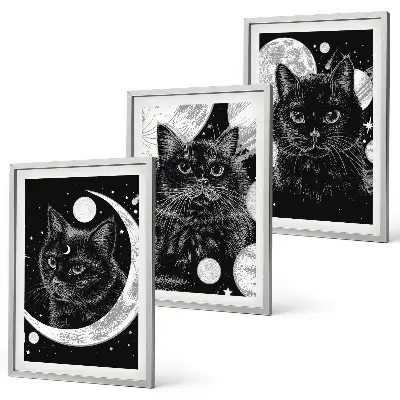 Juego de 3 cuadros de gatos negros en el espacio lunar decoración de pared con diseño de gatos negros en el espacio lunar