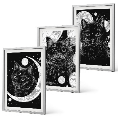Juego de 3 cuadros Gatos negros espacio lunar