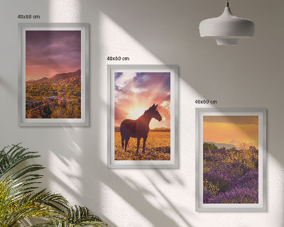 Set de 3 cuadros para salón Paisaje montañoso con un caballo