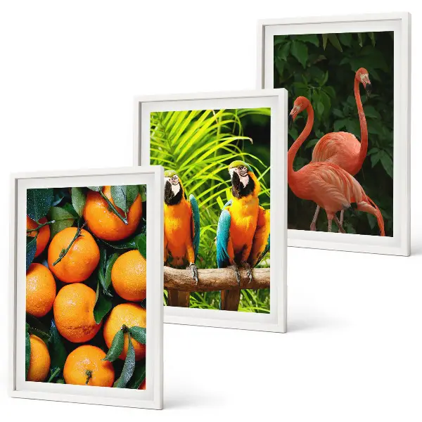 Set de 3 cuadros decorativos para salón con diseño de toques frutales en el trópico