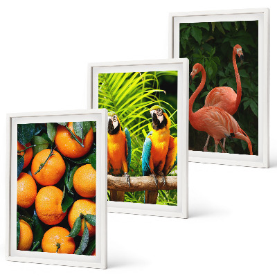 Set de 3 cuadros para salón Toques frutales en el trópico