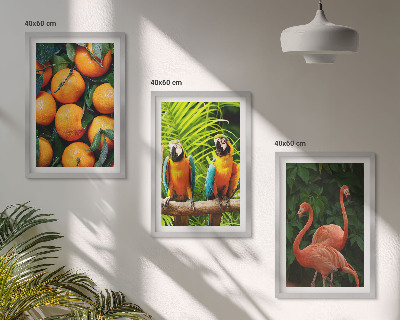 Set de 3 cuadros para salón Toques frutales en el trópico