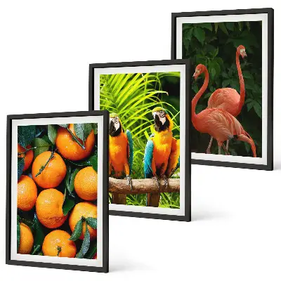 Set de 3 cuadros decorativos para salón con diseño de toques frutales en el trópico