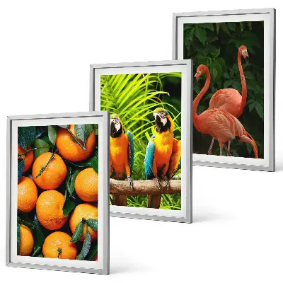Set de 3 cuadros decorativos para salón con diseño de toques frutales en el trópico