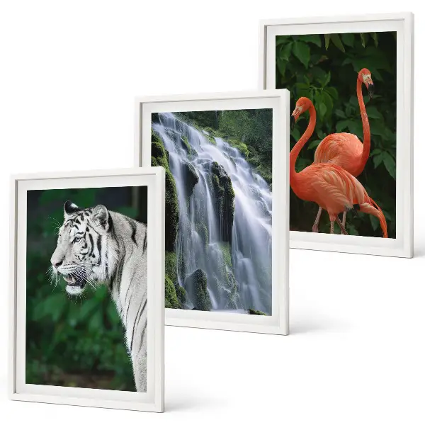 Juego de 3 cuadros de naturaleza con cascada y flamencos decascada del tigre y flamencos
