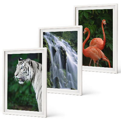 Juego de 3 cuadros Cascada del tigre flamencos naturaleza
