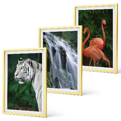 Juego de 3 cuadros Cascada del tigre flamencos naturaleza