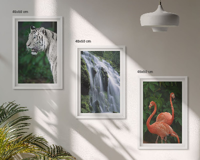 Juego de 3 cuadros Cascada del tigre flamencos naturaleza