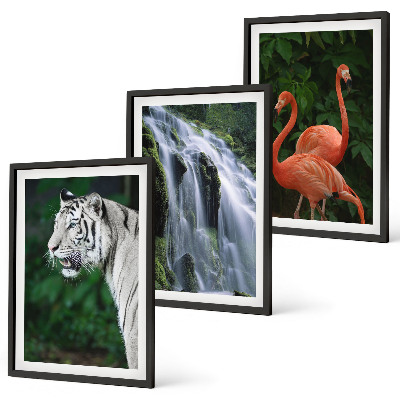 Juego de 3 cuadros Cascada del tigre flamencos naturaleza
