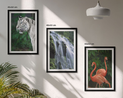 Juego de 3 cuadros Cascada del tigre flamencos naturaleza
