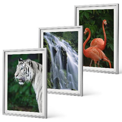 Juego de 3 cuadros Cascada del tigre flamencos naturaleza