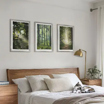 Juego de 3 cuadros con diseño de bosques verdes y rayos de luz