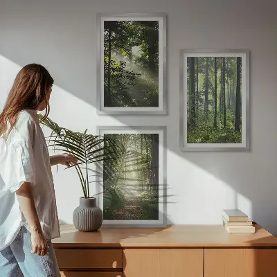 Juego de 3 cuadros con diseño de bosques verdes y rayos de luz