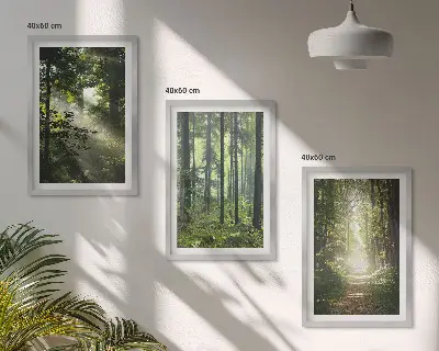Juego de 3 cuadros con diseño de bosques verdes y rayos de luz
