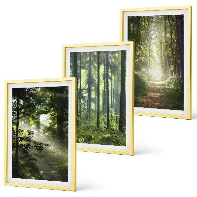 Juego de 3 cuadros con diseño de bosques verdes y rayos de luz