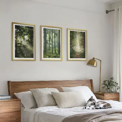 Juego de 3 cuadros con diseño de bosques verdes y rayos de luz