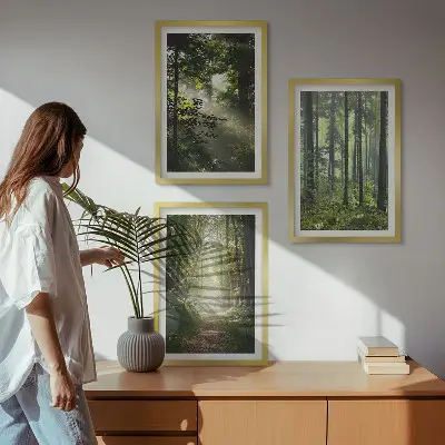 Juego de 3 cuadros con diseño de bosques verdes y rayos de luz