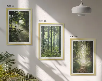 Juego de 3 cuadros con diseño de bosques verdes y rayos de luz