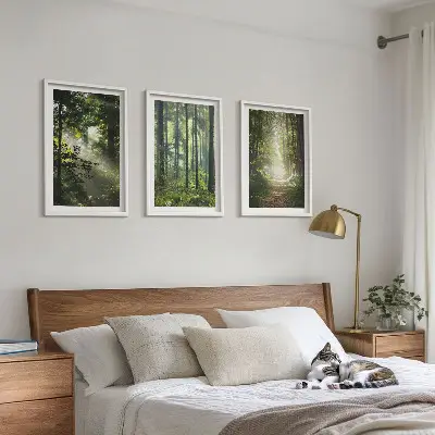 Juego de 3 cuadros con diseño de bosques verdes y rayos de luz