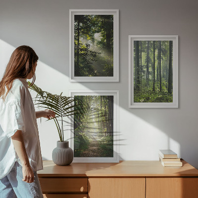 Juego de 3 cuadros Bosques verdes con rayos de luz