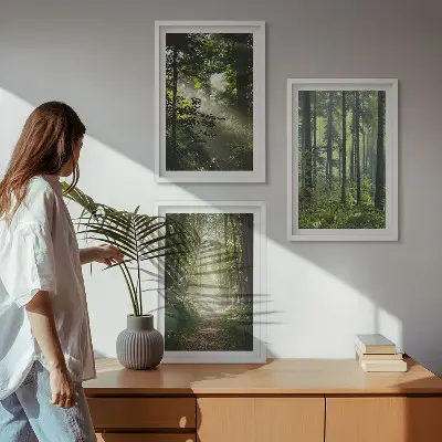 Juego de 3 cuadros con diseño de bosques verdes y rayos de luz