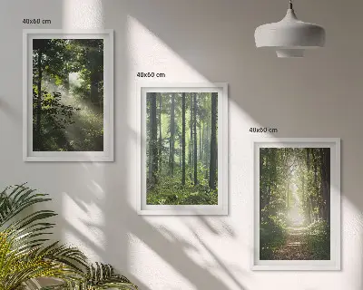 Juego de 3 cuadros con diseño de bosques verdes y rayos de luz