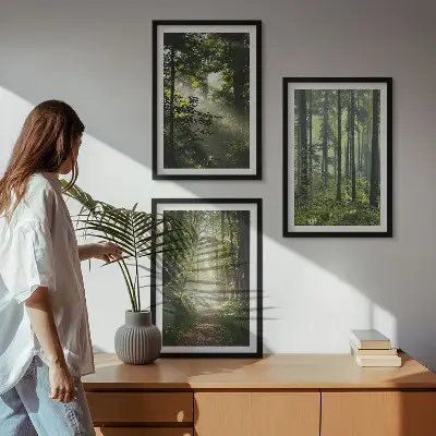 Juego de 3 cuadros con diseño de bosques verdes y rayos de luz
