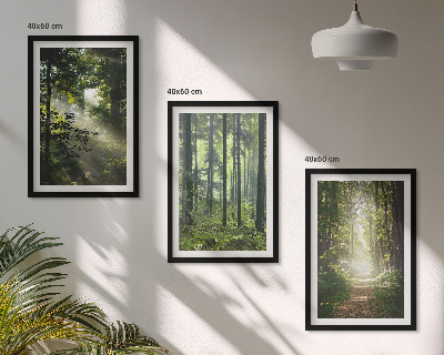 Juego de 3 cuadros Bosques verdes con rayos de luz